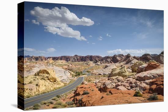 Street Through the Valley of Fire State Park, Nevada-Marco Isler-Premier Image Canvas