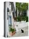 Street View with Black Cat, Manolates, Samos, Aegean Islands, Greece-Walter Bibikow-Premier Image Canvas