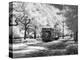 Streetcar, St. Charles Avenue, New Orleans-Carol Highsmith-Stretched Canvas