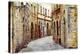 Streets of Medieval Towns of Tuscany. Italy-Maugli-l-Premier Image Canvas