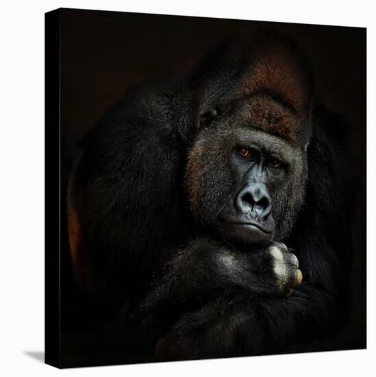 STRENGTH IN SERENITY-Antje Wenner-Braun-Premier Image Canvas