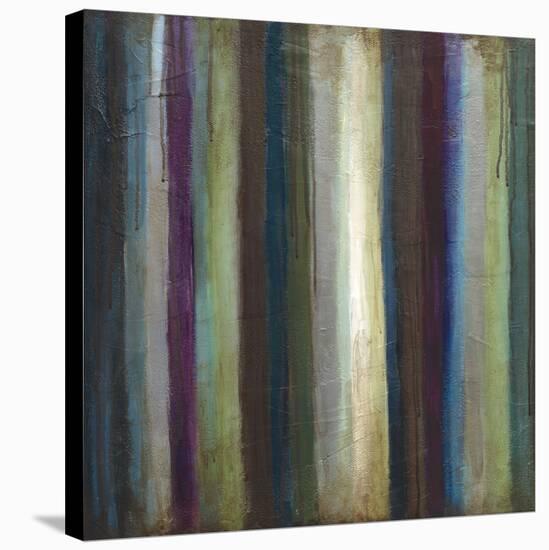 Striations I-Wani Pasion-Stretched Canvas