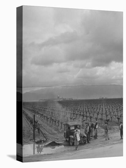 Strike at Digiorgio Fruit Farm in California's Central Valley by Af of L National Farm Labor Union-null-Premier Image Canvas