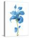 Striking Blue Iris III-Jacob Green-Stretched Canvas