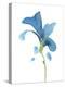 Striking Blue Iris V-Jacob Green-Stretched Canvas