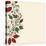 Striped Background Barberry with White Flower-Little_cuckoo-Stretched Canvas