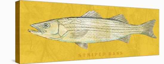 Striped Bass-John Golden-Stretched Canvas