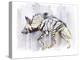 Striped Hyaena, 2010-Mark Adlington-Premier Image Canvas