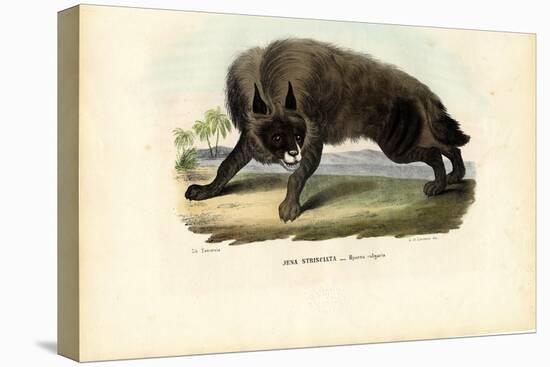 Striped Hyena, 1863-79-Raimundo Petraroja-Premier Image Canvas