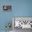 Striped Skunk and Squirrel-DLILLC-Premier Image Canvas displayed on a wall