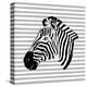 Striped Zebra-Martina Pavlova-Stretched Canvas