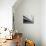Stripes-Josh Adamski-Premier Image Canvas displayed on a wall