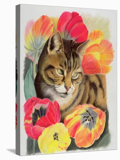 Stripy and Tulip-Anne Robinson-Premier Image Canvas