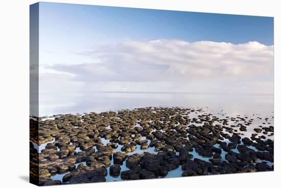 Stromatolites In Australia-Bob Gibbons-Premier Image Canvas