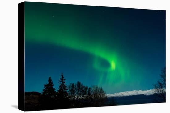 Strong Curled Green Aurora-Latitude 59 LLP-Premier Image Canvas