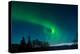 Strong Curled Green Aurora-Latitude 59 LLP-Premier Image Canvas