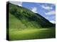 Stubachtal Valley, Hohe Tauern National Park, Salzburgland, Austrian Alps, Austria, Europe-Richard Nebesky-Premier Image Canvas