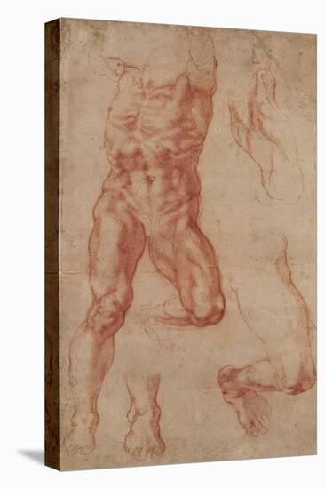 Studies for Haman-Michelangelo-Stretched Canvas