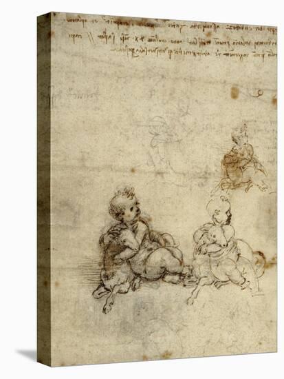 Studies for the Christ Child with a Lamb (recto)-Leonardo Da Vinci-Stretched Canvas