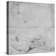 Studies for the Grande Odalisque-Jean-Auguste-Dominique Ingres-Premier Image Canvas