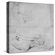 Studies for the Grande Odalisque-Jean-Auguste-Dominique Ingres-Premier Image Canvas