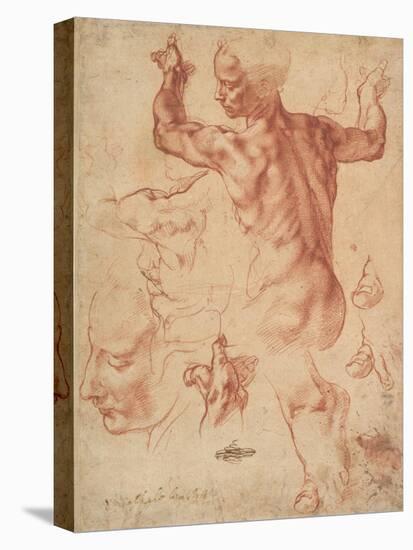 Studies for the Libyan Sibyl (recto), c.1510-11-Michelangelo Buonarroti-Premier Image Canvas