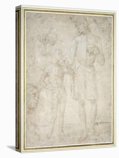 Studies for Tobias and the Angel-Pietro Perugino-Premier Image Canvas