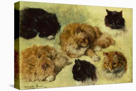Studies of Cats, 1895 (oil on canvas)-Henriette Ronner-Knip-Premier Image Canvas