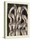 Studies of Hands 1, 1986-Evelyn Williams-Premier Image Canvas