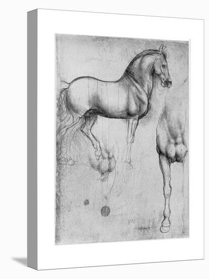 Studies of Horses, C1490-Leonardo da Vinci-Premier Image Canvas