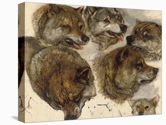 Studies of Huskies' Heads-George Bouverie Goddard-Premier Image Canvas