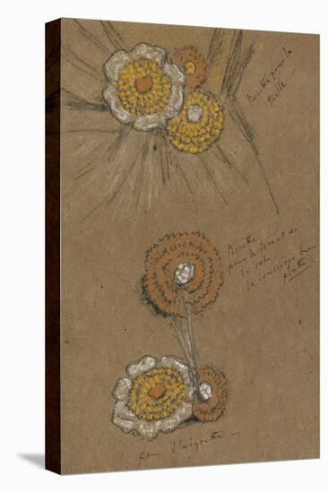 Studies of Rosettes, 1871-74-James Abbott McNeill Whistler-Premier Image Canvas