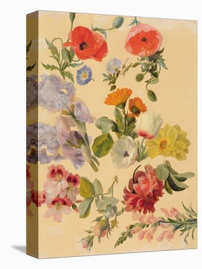 Studies of Summer Flowers-Jacques-Laurent Agasse-Premier Image Canvas