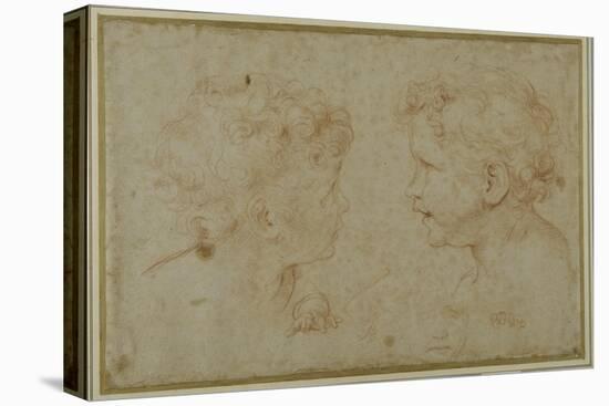 Studies of the Head and Left Hand of a Putto-Carlo Maratti-Premier Image Canvas