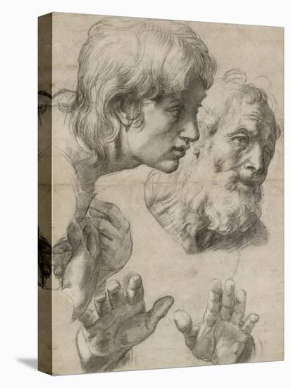 Studies of the Heads of Two Apostles and of their Hands-Raphael-Premier Image Canvas