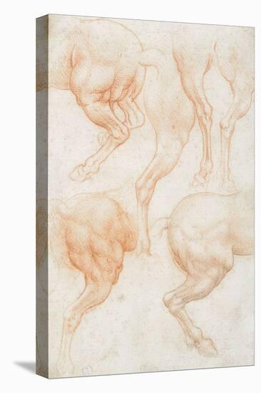 Studies of the Horse Rear Legs-Leonardo da Vinci-Premier Image Canvas