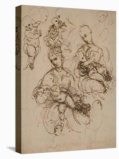 Studies of the Virgin and Child-Raphael-Stretched Canvas