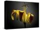 Studio Flowers V-James McLoughlin-Premier Image Canvas