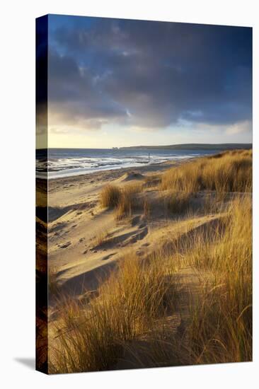 Studland Beach with Views to Old Harry Rocks, Dorset, England. Winter-Adam Burton-Premier Image Canvas