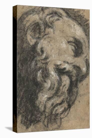 Study after Michelangelo's Saint Damian, C. between 1545 and 1550 (Black Chalk, Heightened with Whi-Jacopo Robusti Tintoretto-Premier Image Canvas