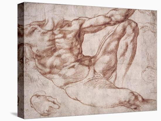 Study for Adam-Michelangelo-Stretched Canvas