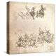 Study for the cartoon of the Battle of Anghiari, c1472-c1505 (1883)-Leonardo Da Vinci-Premier Image Canvas