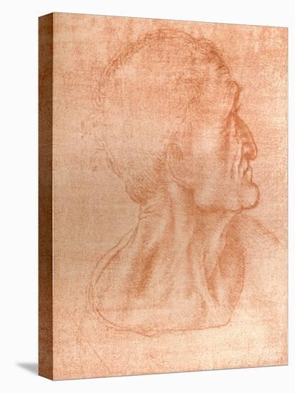 Study for the head of Judas in `The Last Supper`, c1494-c1499 (1883)-Leonardo Da Vinci-Premier Image Canvas