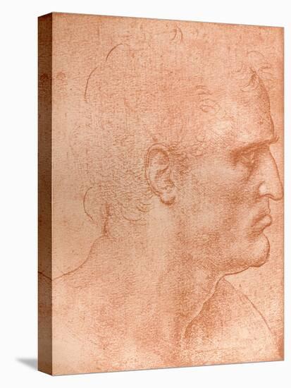 Study for the Head of St Matthew in the Last Supper, C1494-C1499 (1883)-Leonardo da Vinci-Premier Image Canvas