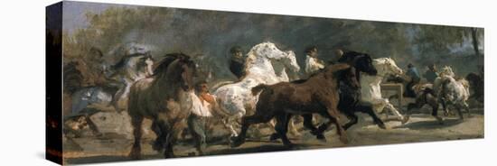 Study for the Horsemarket, 1900-Rosa Bonheur-Premier Image Canvas