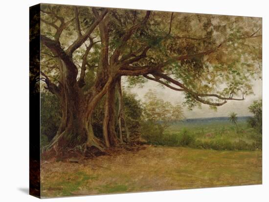 Study for 'The Landing of Columbus', 1892-Albert Bierstadt-Premier Image Canvas