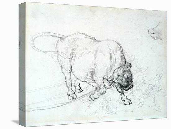 Study of a Bull-Theodore Gericault-Premier Image Canvas