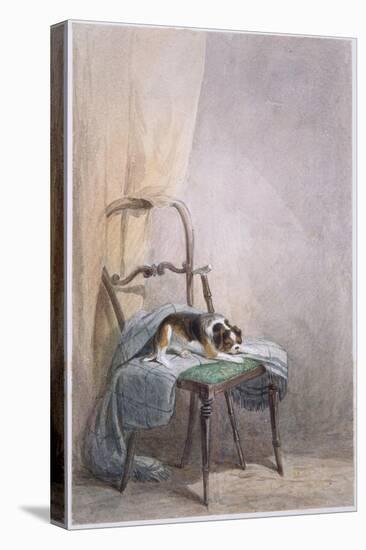 Study of a Dog on a Chair-William Henry Hunt-Premier Image Canvas