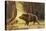 Study of a Fierce Boar in the Forest-Theodore Kiellerup-Premier Image Canvas