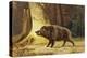 Study of a Fierce Boar in the Forest-Theodore Kiellerup-Premier Image Canvas